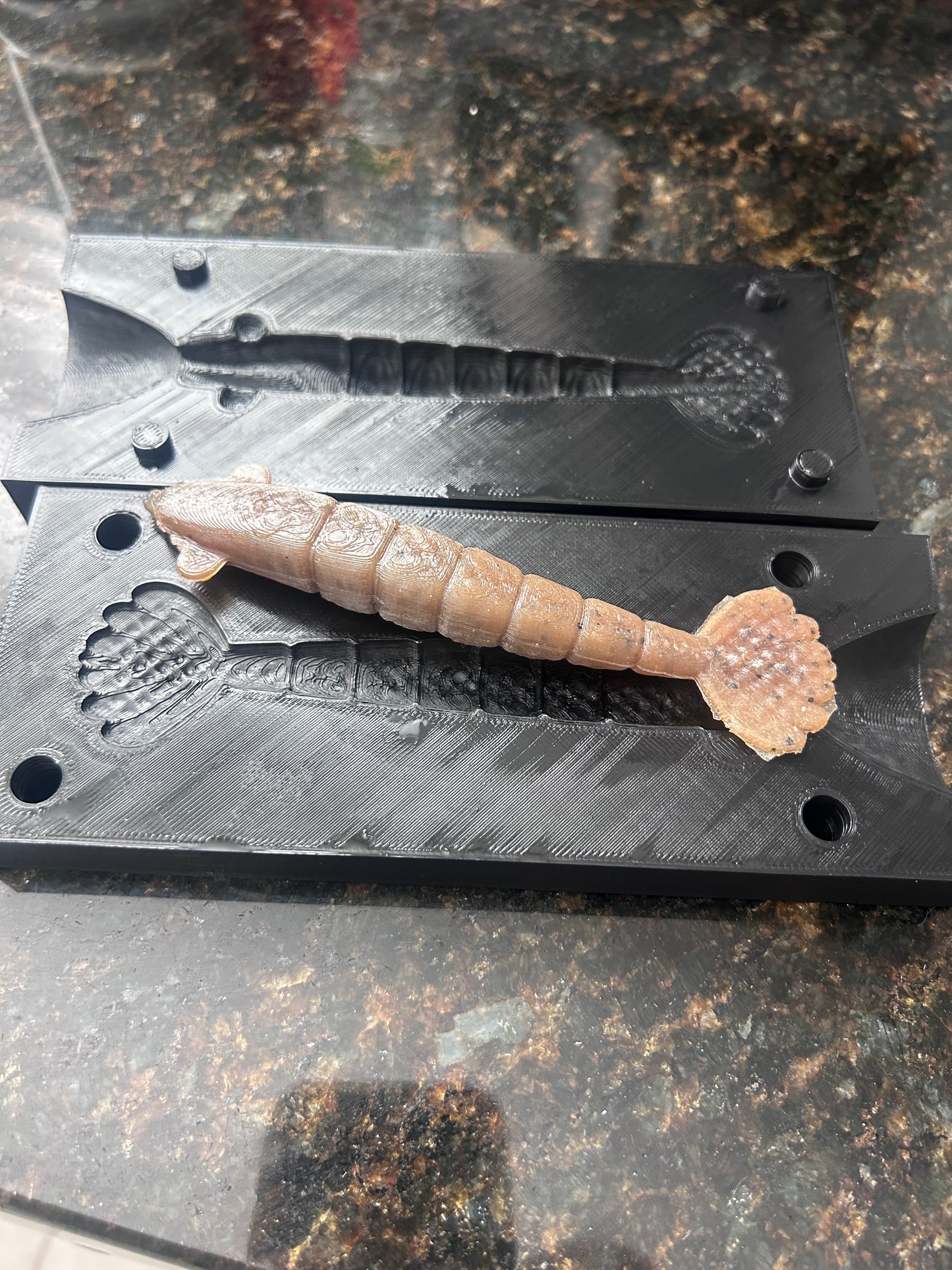 3D Printed Shrimp Mold