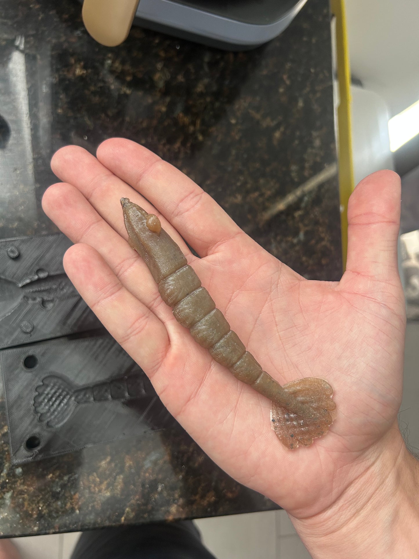 3D Printed Shrimp Mold