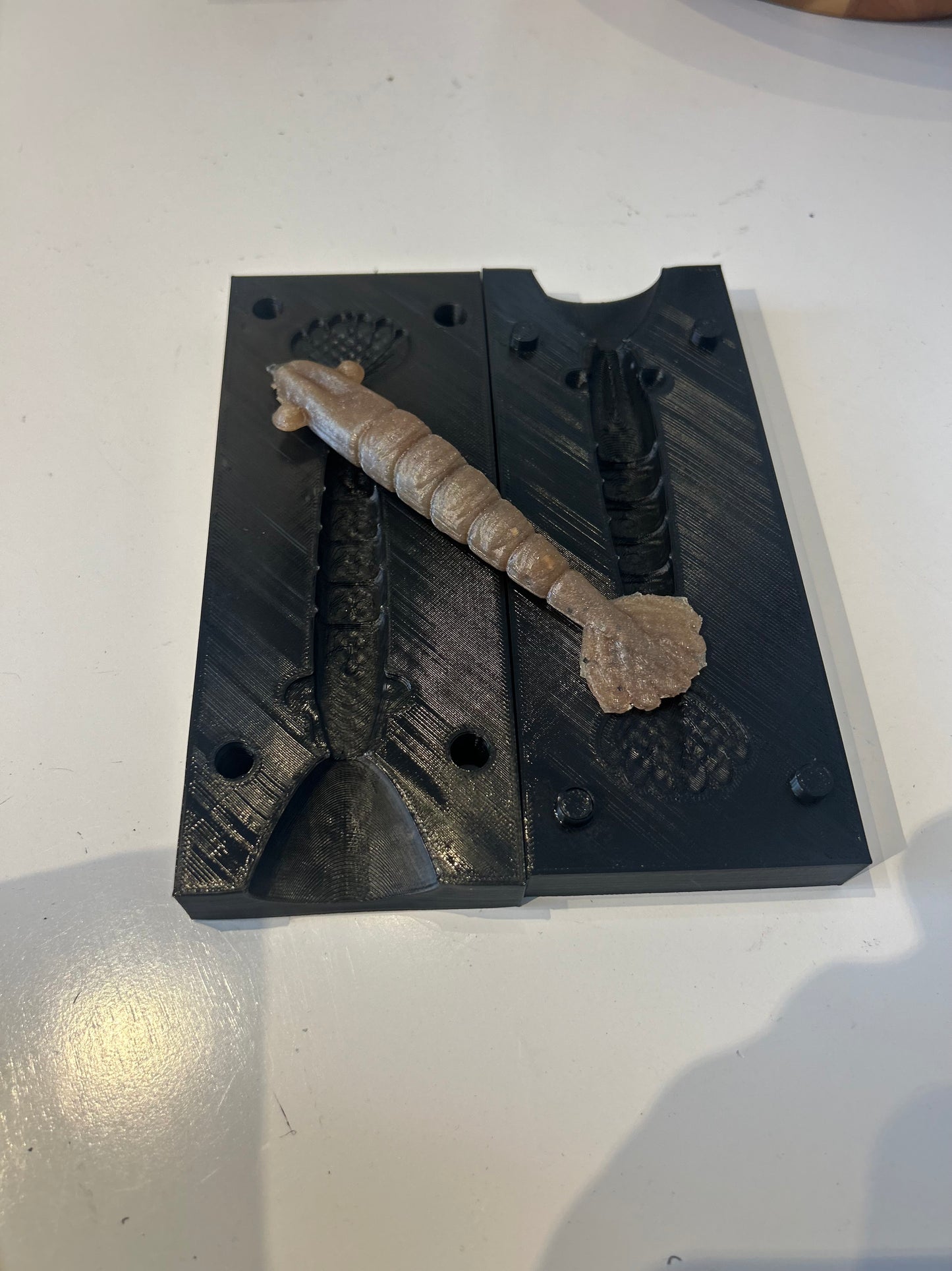 3D Printed Shrimp Mold