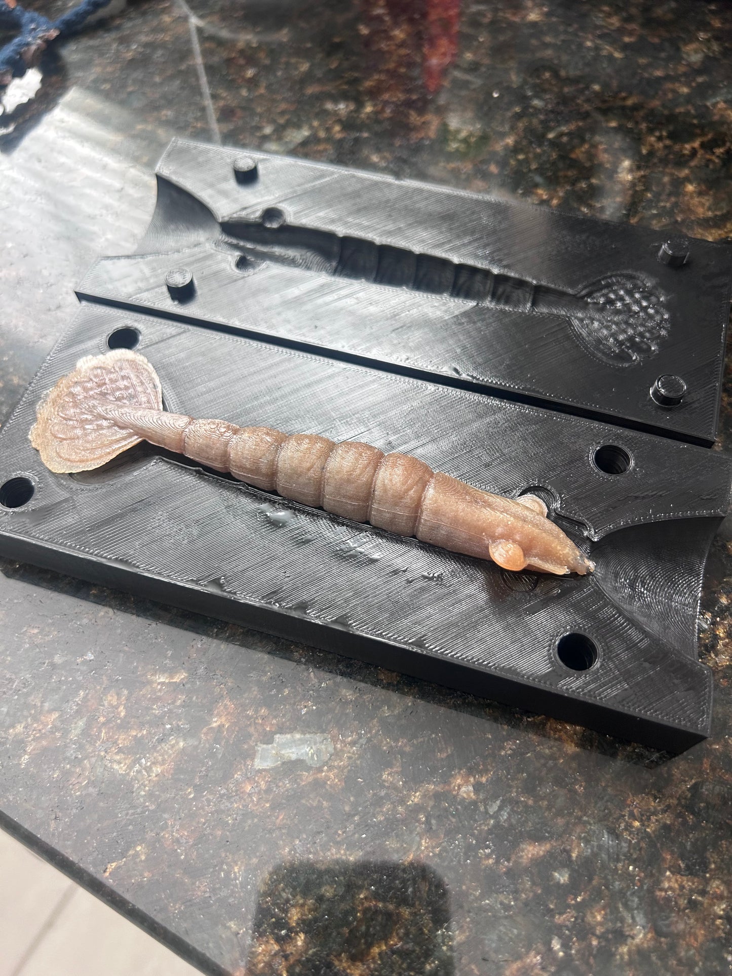 3D Printed Shrimp Mold